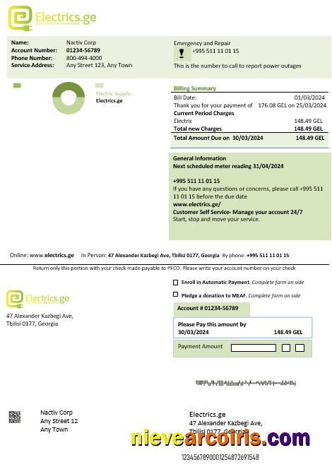 Georgia Electrics.ge electricity business bill